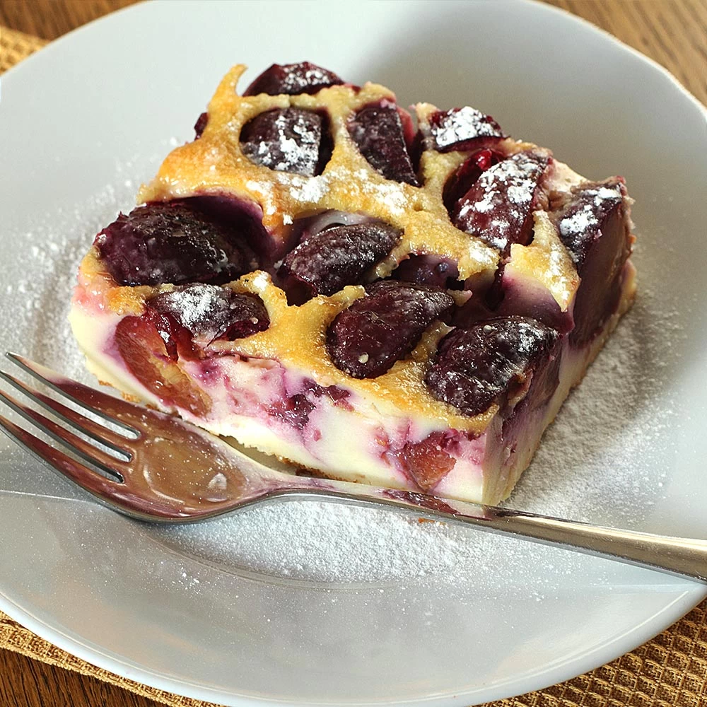 Burgundy Plum Tree - Image 5