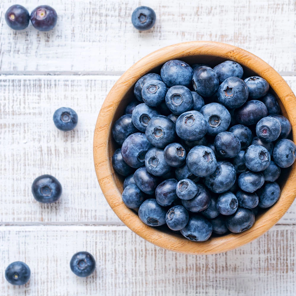 Climax Blueberry - Image 5