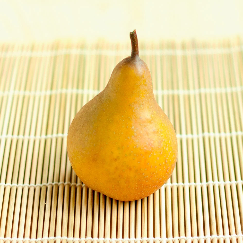 Comice Pear Tree - Image 4