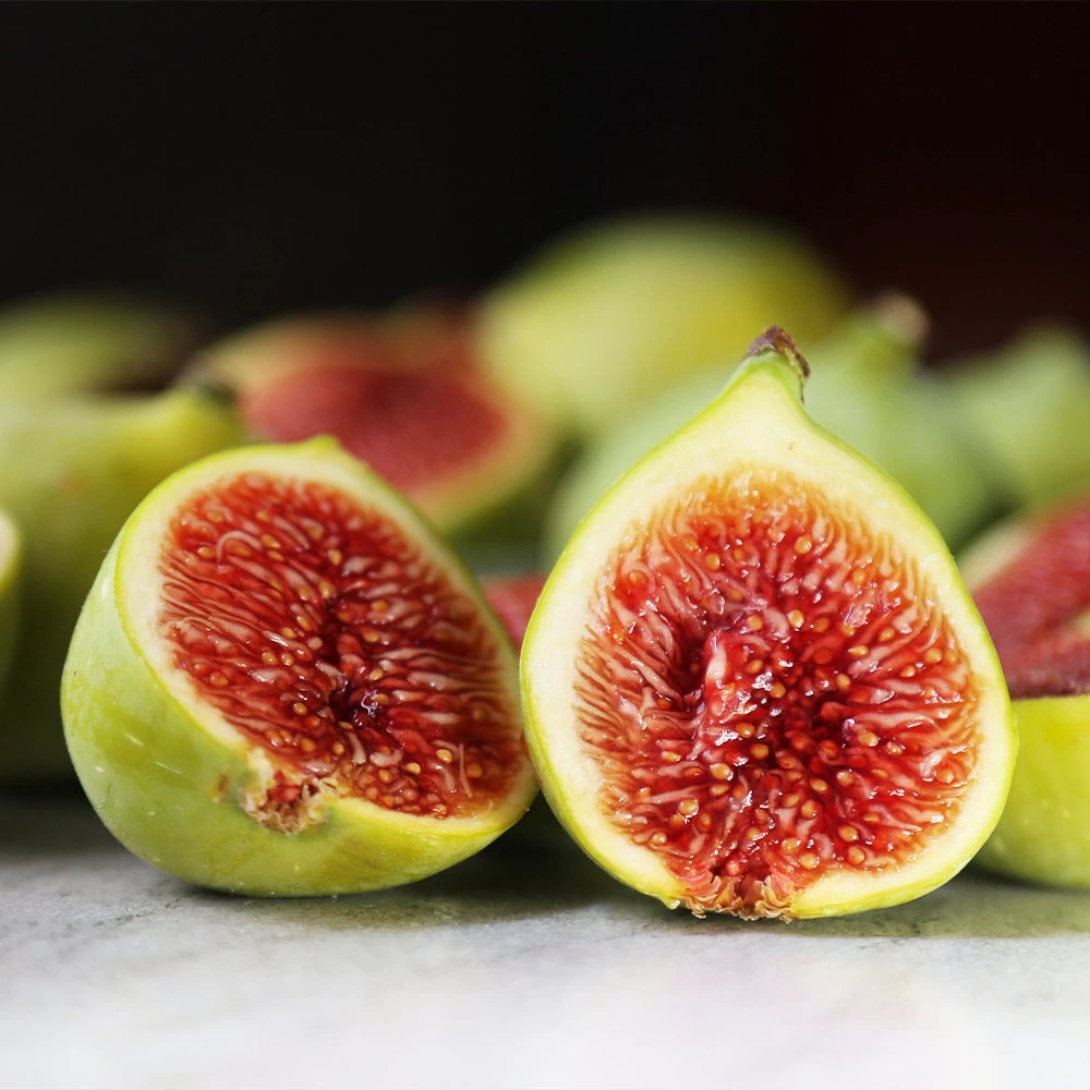 Desert King Fig Tree - Image 4