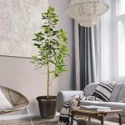 Condoâ„¢ Avocado Tree