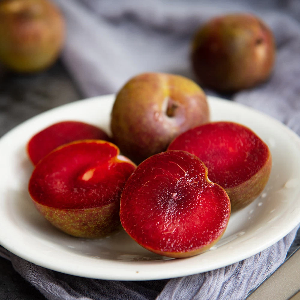 Elephant Heart Plum Tree - Image 3