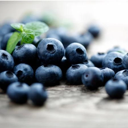 Elliot Blueberry Bush - Image 4