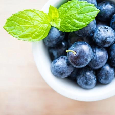 Elliot Blueberry Bush - Image 2