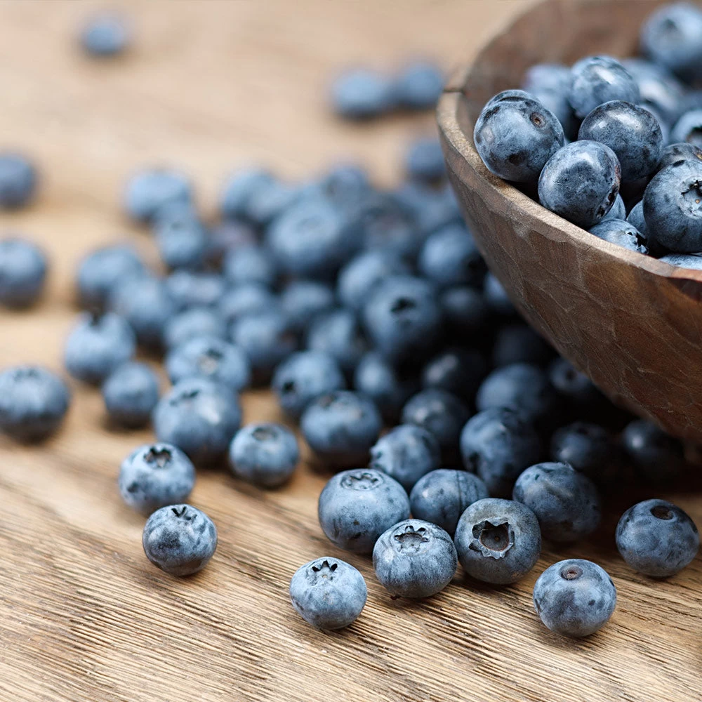 Emerald Blueberry Bush - Image 3