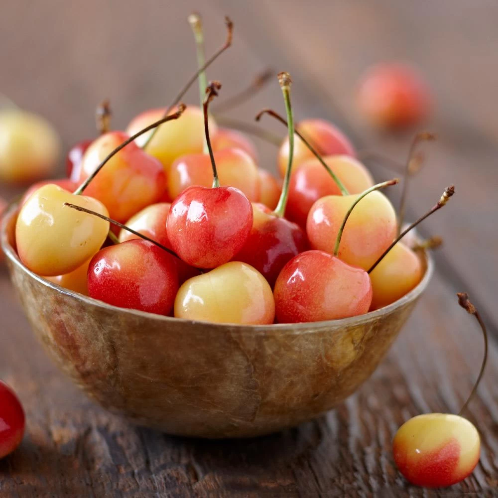 Royal Ann Cherry Tree - Image 3