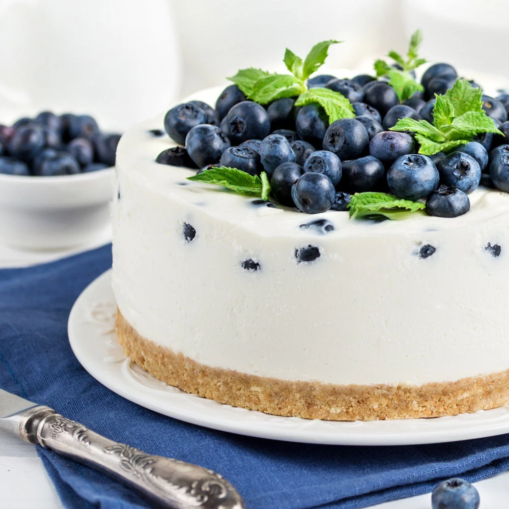 Sunshine Blue Blueberry Bush - Image 4