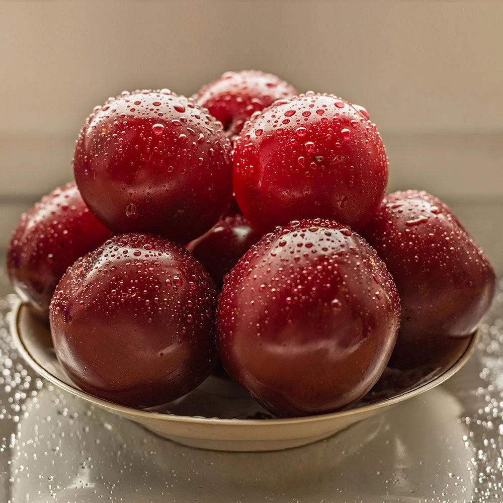 Satsuma Plum Tree - Image 4