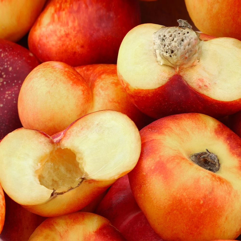 Saturn Peach Tree - Image 4