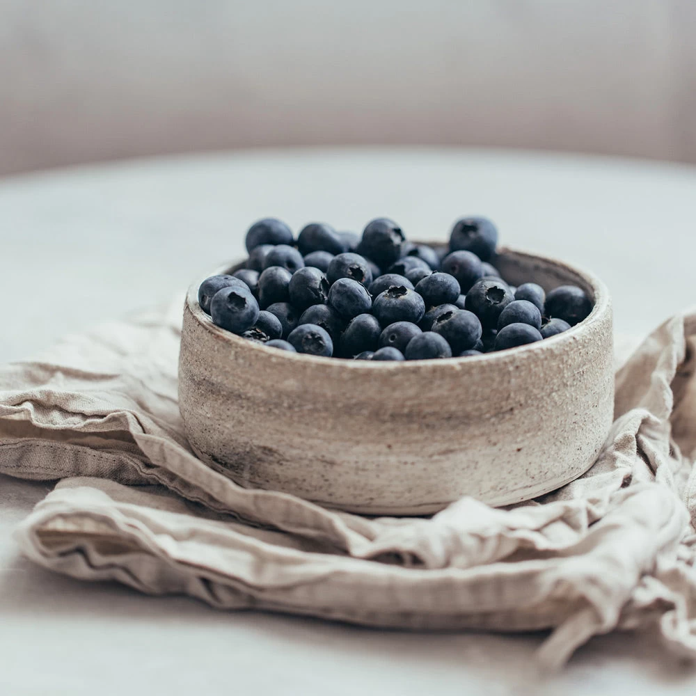 Sharpblue Blueberry Bush - Image 3