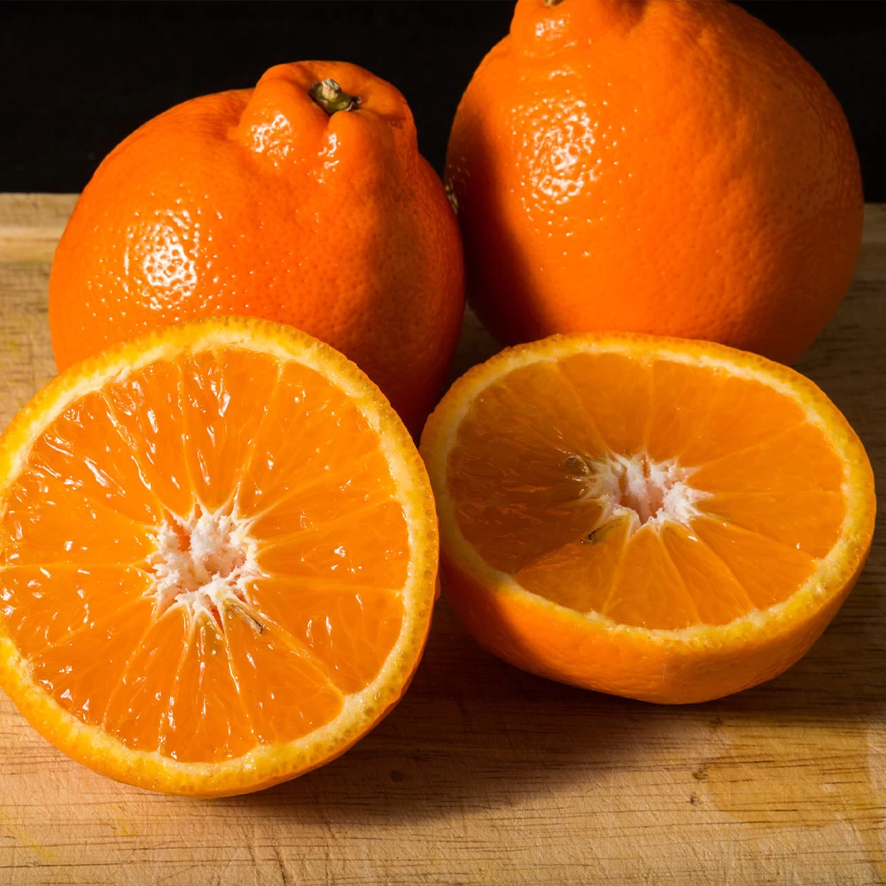 Tangelo Tree - Image 6