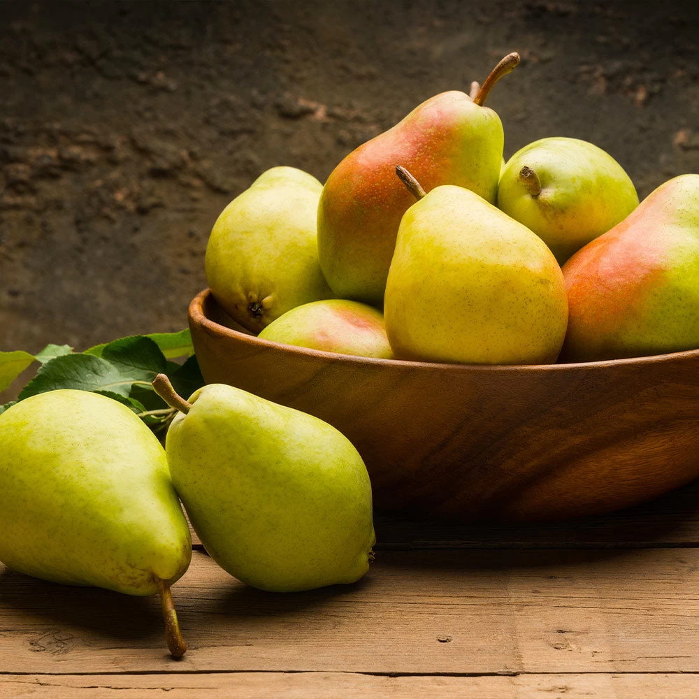 Warren Pear Tree - Image 3